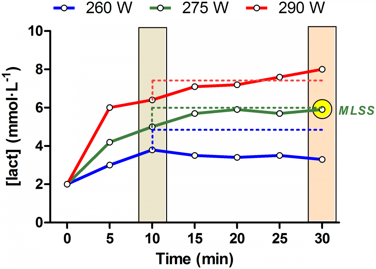 Il concetto di maximal lactate steady state.