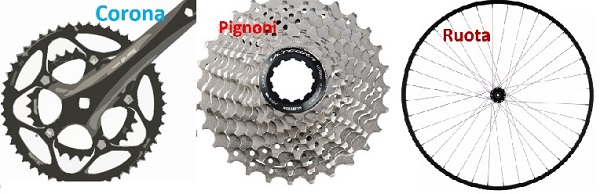 I tre elementi:Corona,denti pignoni e ruota bici