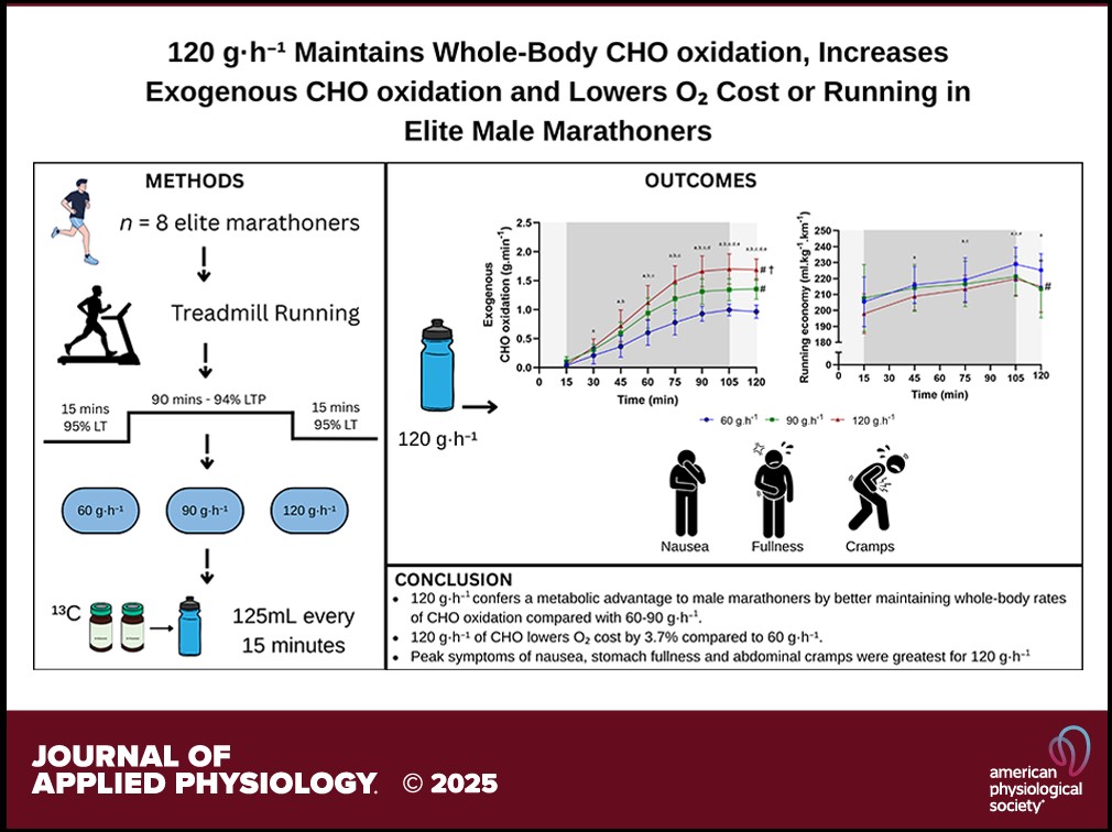 Carboidrati in maratona: cosa sappiamo e cosa cambia 1 Carboidrati in maratona: cosa sappiamo e cosa cambia 1